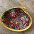 OYSTER & CLAM DECORATIVE SHELLS